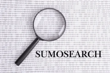 Sumosearch: The Ultimate Search Engine for Precision and Speed